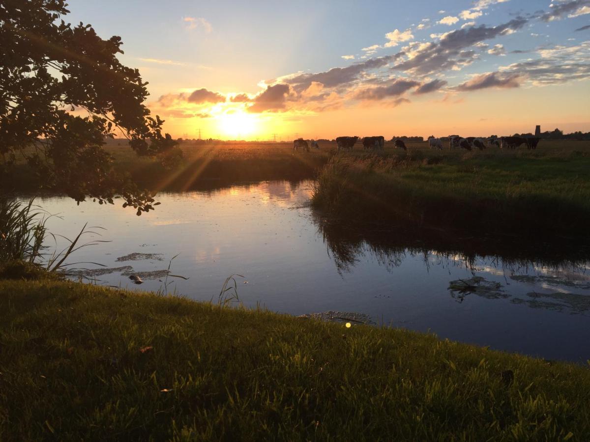 Very Nice Cottage In Durgerdam, With Private Garden, Free Parking, Pets Allowed Amsterdam Zewnętrze zdjęcie