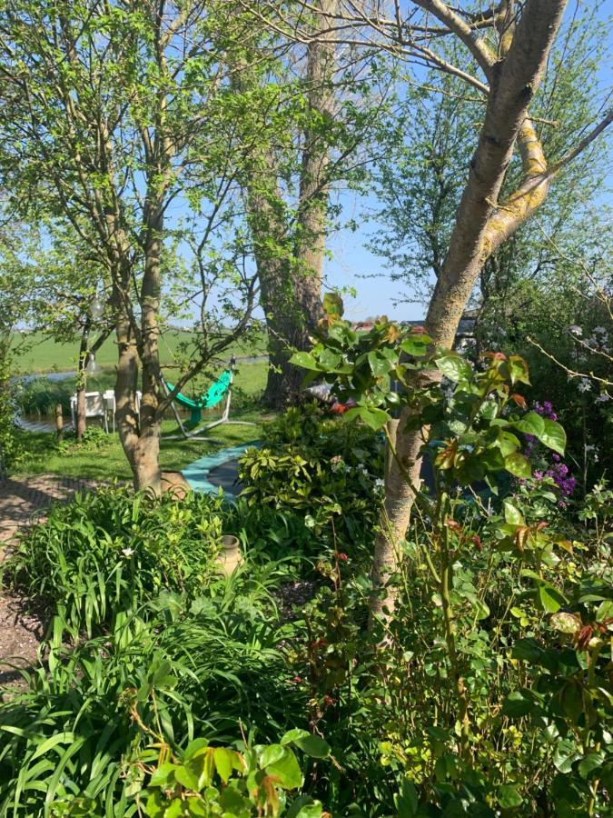 Very Nice Cottage In Durgerdam, With Private Garden, Free Parking, Pets Allowed Amsterdam Zewnętrze zdjęcie